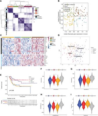 Comprehensive analysis of a glycolysis and cholesterol synthesis-related genes signature for predicting prognosis and immune landscape in osteosarcoma